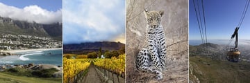 Cape Town, Winelands, Leopard & Table Mountain cable car
