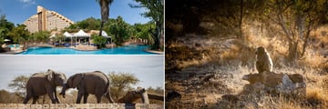 Cascades, Sun City & Madikwe elephants and baboon
