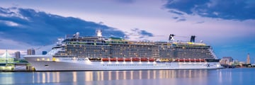 Celebrity Reflection