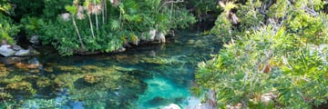 Cenote Xel Ha