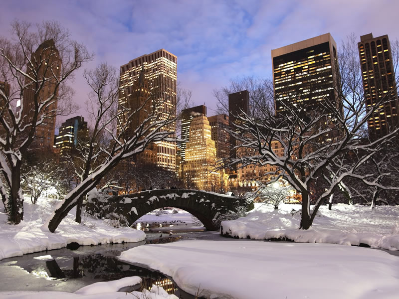 Central Park at Christmas