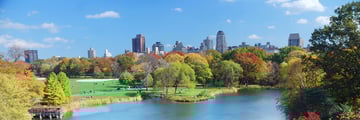 A view of Central Park