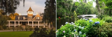 Magnolia Plantation Grounds, Charleston