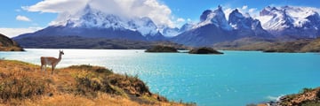 Stunning scenery and wildlife in Chile