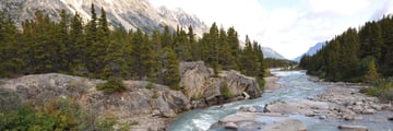 Chikkot trail along the two mile river, Yukon