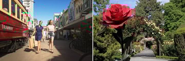 Christchurch Streets & Botanical Gardens