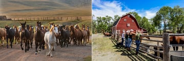 Circle Bar Guest Ranch