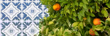 Portugese tiles and citrus