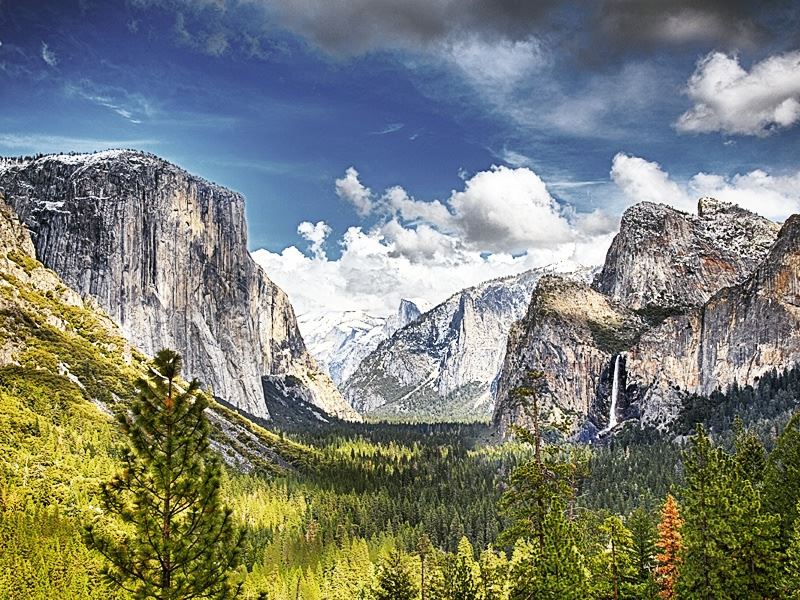 Scenic Yosemite National Park