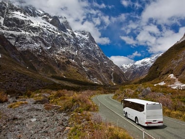 Escorted tours through Milford Sound to Te Anau