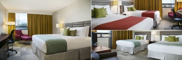 Coast Inn of the North, (clockwise from left): Superior King Room, Superior Twin Room and Comfort Twin Room