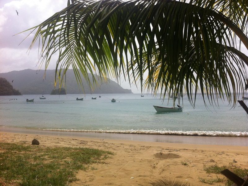 Charlotteville Beach at Coco Reef