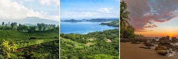 Coffee Plantation & Stunning Guanacaste Scenery, Costa Rica