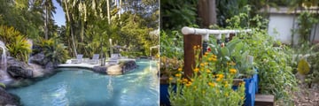 pool and organic garden at colony club