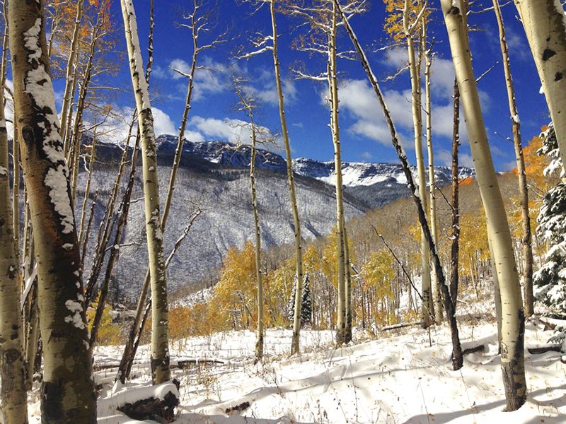 Colorado in the winter