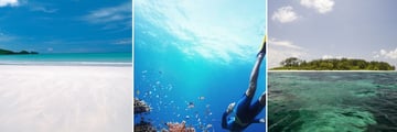 Coral Island
