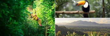 Ziplining, toucans and San Jose Valley