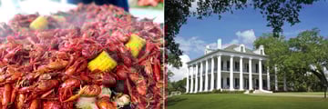 Crawfish boil in Lafayette and Dunleith Plantation House in Natchez