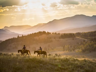 Horseriding cowboys in Wyoming