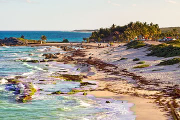Cozumel coastline