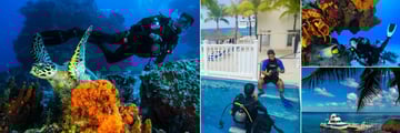 Cozumel Palace, Scuba Diving and Boat Tours