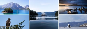 Cruise scenery & wildlife