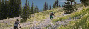 Cycling through Alpine blossom at Sun Peaks