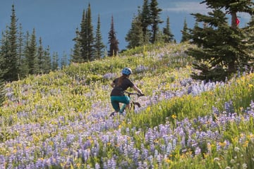Cycling through Alpine blossom at Sun Peaks