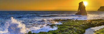 Davenport Beach