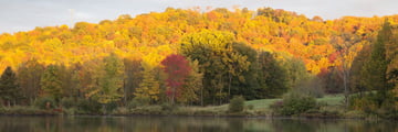 Deerhurst Resort landscape, Huntsville, Muskoka