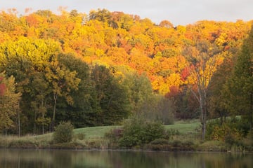 Deerhurst Resort landscape, Huntsville, Muskoka