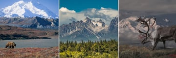 Denali National Park, Alaska