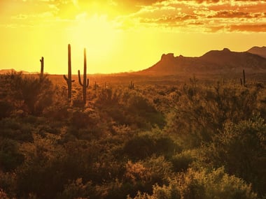 Scottsdale