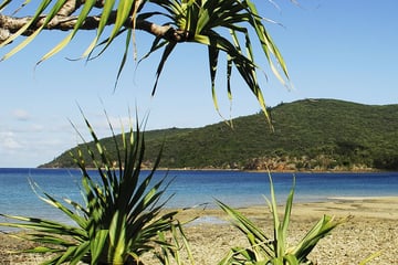 Deserted beach in the Whitsunday Islands