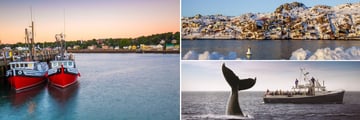 Digby, St John & Whale Watching Tour