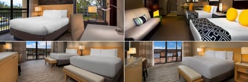 Garden Wing One Bedroom Suite, Standard Room, Bay Lake View Club Level and Theme Park Presidential Suite Club Level at Disney's Contemporary Resort