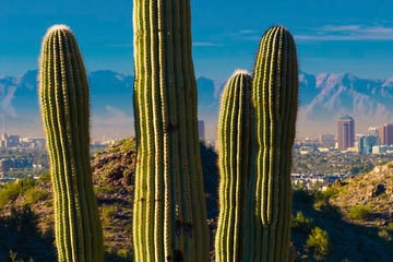 Distant view of Phoenix