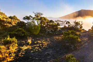 Dolomieu Crater in Reunion