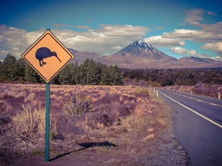 Driving in Tongariro National Park in New Zealand's North Island