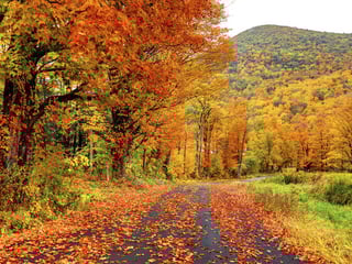 Driving the roads of Massachusetts in the fall