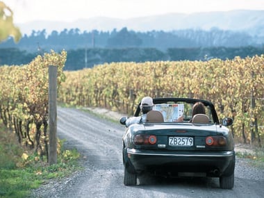 Driving through the wine regions 
