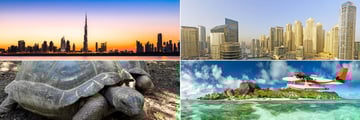 Dubai cityscapes, Seychelles tortoise & A seaplane at La Digue