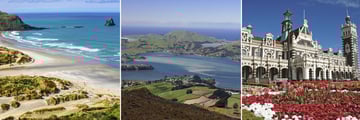 Dunedin
