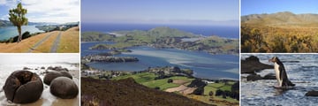 Dunedin, Moeraki Boulders, Omarama Hills & Native Penguins 