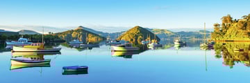 Docked boats in Dunedin