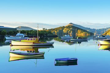 Docked boats in Dunedin