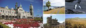 Sights, Landscapes & Wildlife in Dunedin, South Island