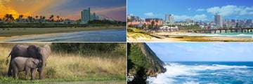 Durban, Port Elizabeth, Elephants & Tsitsikamma National Park