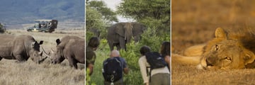 Eastern Cape Safari wildlife