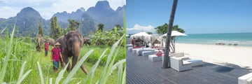 Elephants at Elephant Hills & Beach views at Aava Resort